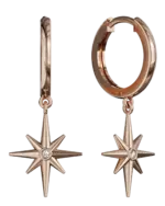 14k Gold Star Shape Earring