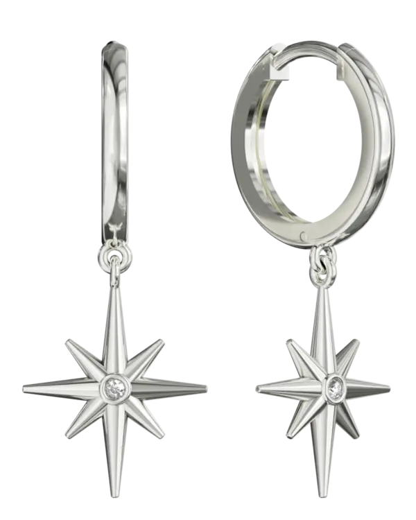 14k Gold Star Shape Earring