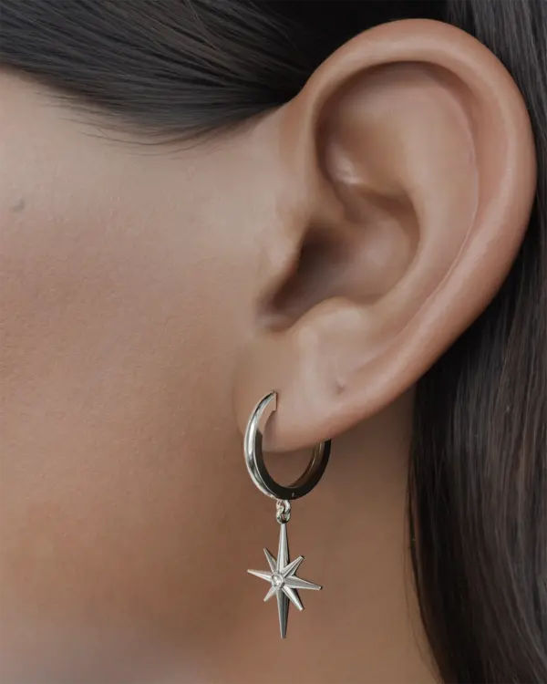 14k Gold Star Shape Earring